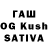 Cannafood конопля sasha molodyko