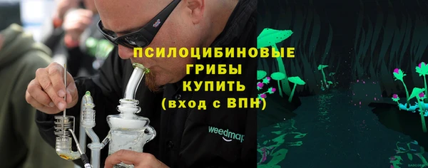твердый Сатка