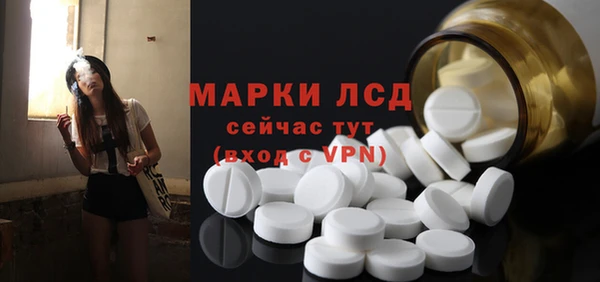 твердый Сатка