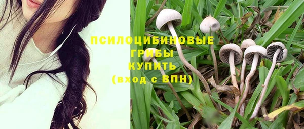 дмт Саяногорск