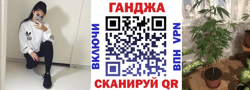 Канабис план  blacksprut   Кологрив 